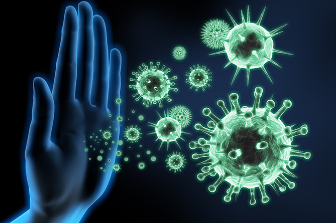 Основные меры предосторожности для защиты от коронавируса