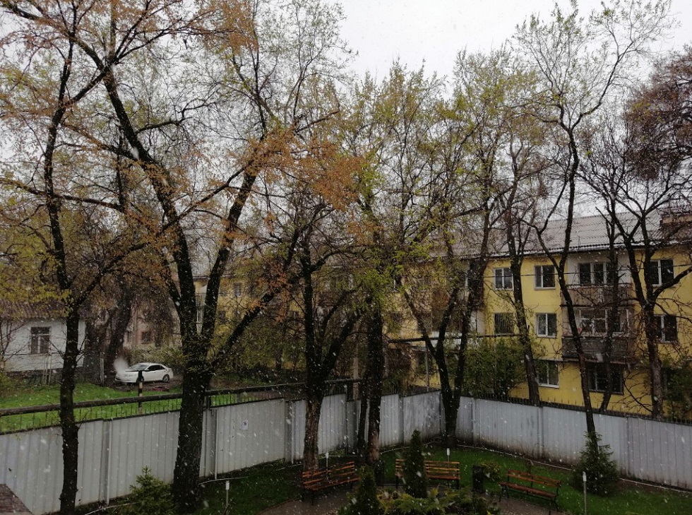 Снегопад в апреле: в Алматы спецслужбы активно предотвращают подтопление и гололед