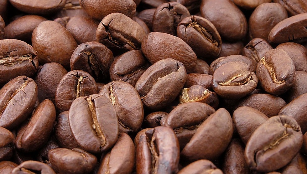 Кофе способен продлить жизнь - ученые 