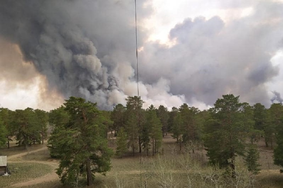 Причины крупного лесного пожара в ВКО назвали специалисты 