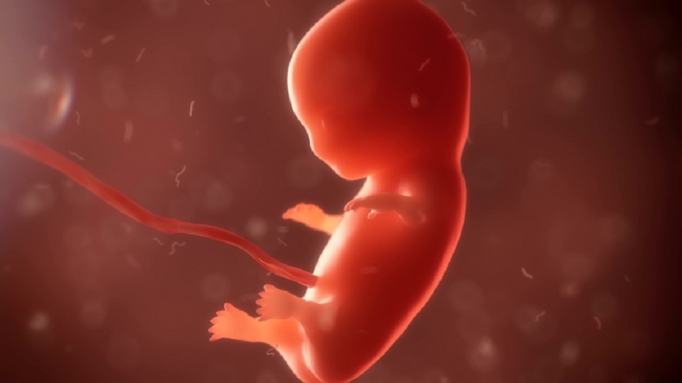 Алматинские врачи ищут родителей эмбрионов 
