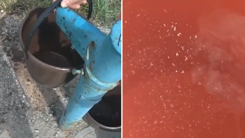 Жительница Костаная пожаловалась на "воду с червями" 