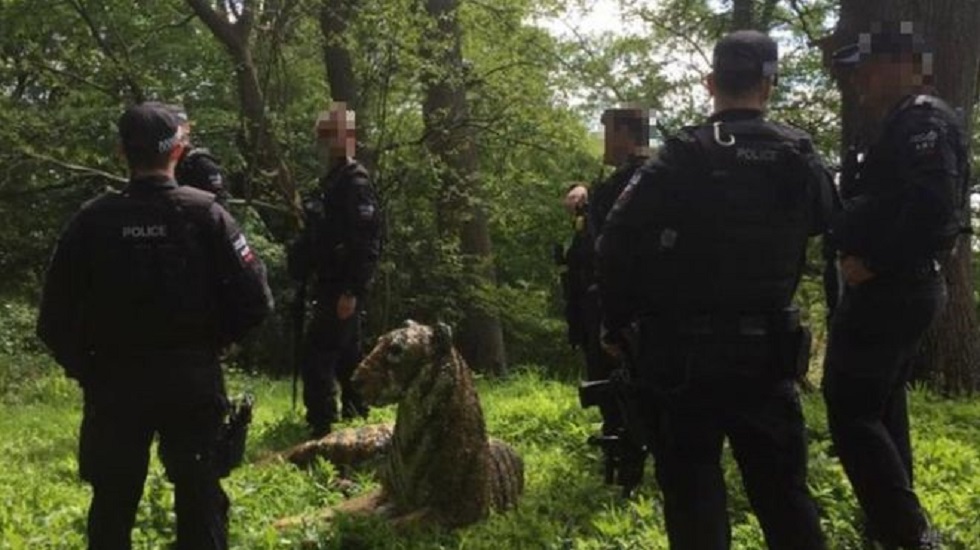 Тигр сбежал из зоопарка: полицейские организовали охоту на тигра, который оказался скульптурой  