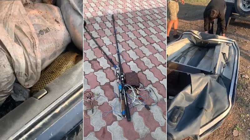 Алматы облысында заңсыз балық аулаған күдікті ұсталды