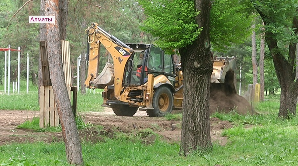 Жители Бостандыкского района выступили против вырубки 160 деревьев 