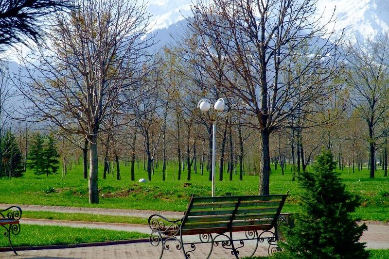 В Алматы усилена работа по поливу зеленых насаждений