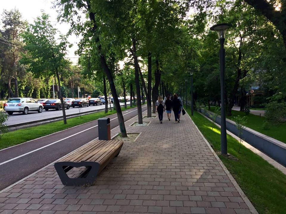 Обработка зеленых насаждений против вредителей производится в Алматы