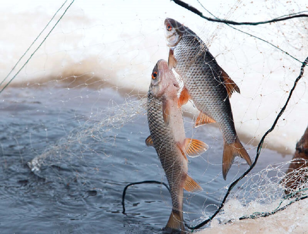 Полицейские Капшагая изъяли у браконьера 80 килограммов рыбы