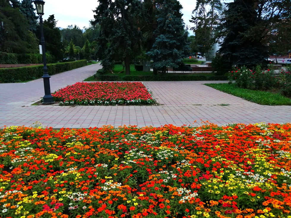 Алматы қаласы бойынша 10-16 тамызға арналған ауа райы болжамы