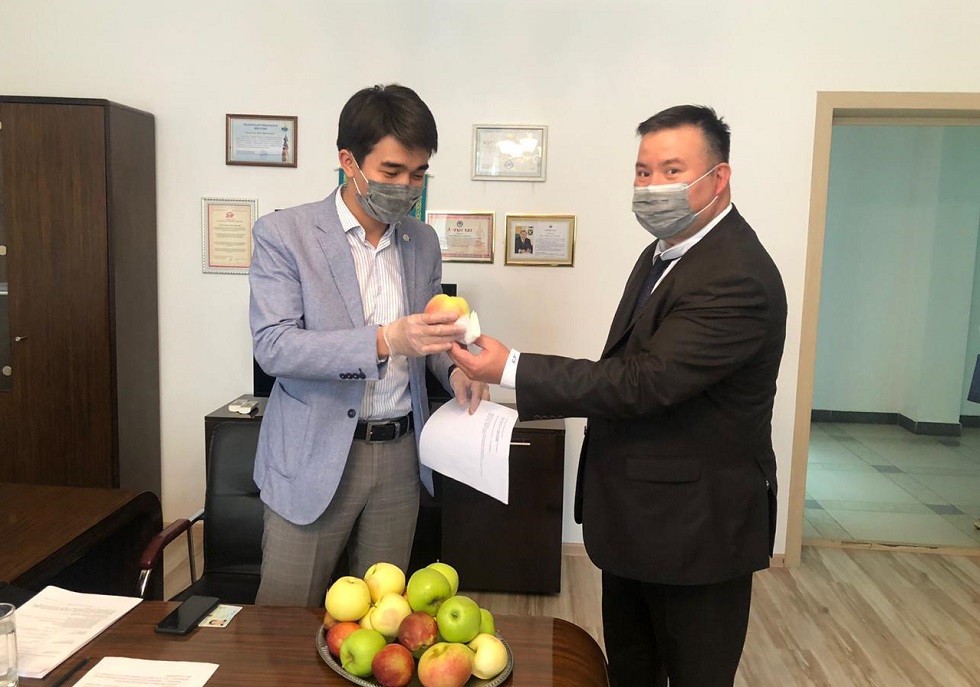 В Алматы при регистрации в праймериз Nur Оtan претендентам раздали яблоки