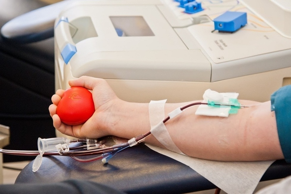 В США официально разрешили переливание плазмы крови больным с COVID-19  