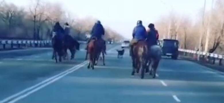 Зачинщики “Кокпар” на дорогах привлечены к ответственности в Алматинской области