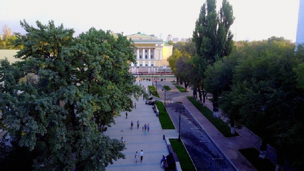 Четверть миллиона деревьев высадят в Алматы осенью