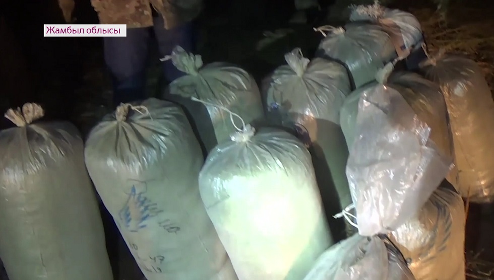 Жамбылда жыл басынан бері 2,5 тонна есірткі тәркіленген
