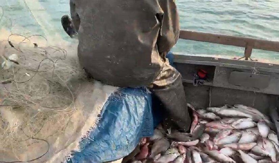 У жителей Алматинской области изъяли 50 кг рыбы и моторную лодку