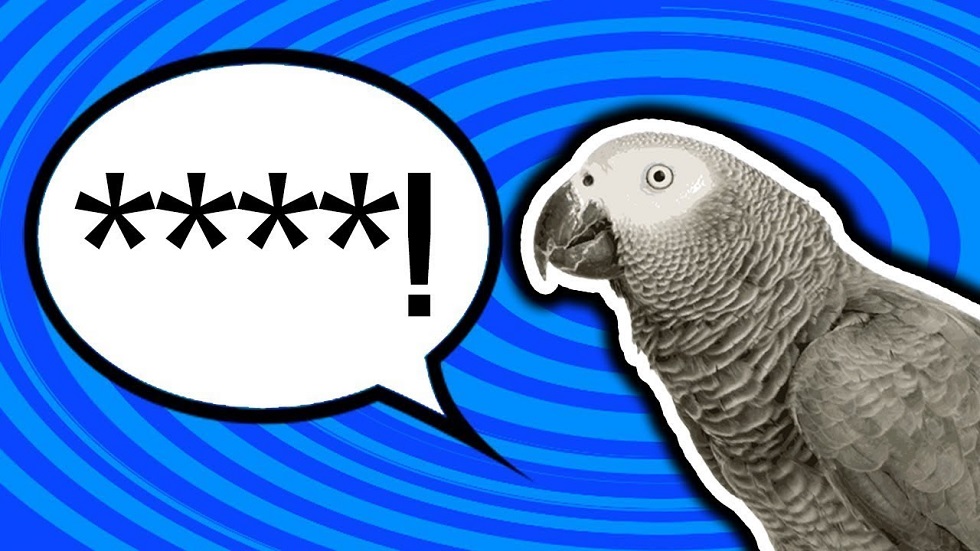 Ругались матом: говорящих попугаев в зоопарке пришлось рассадить