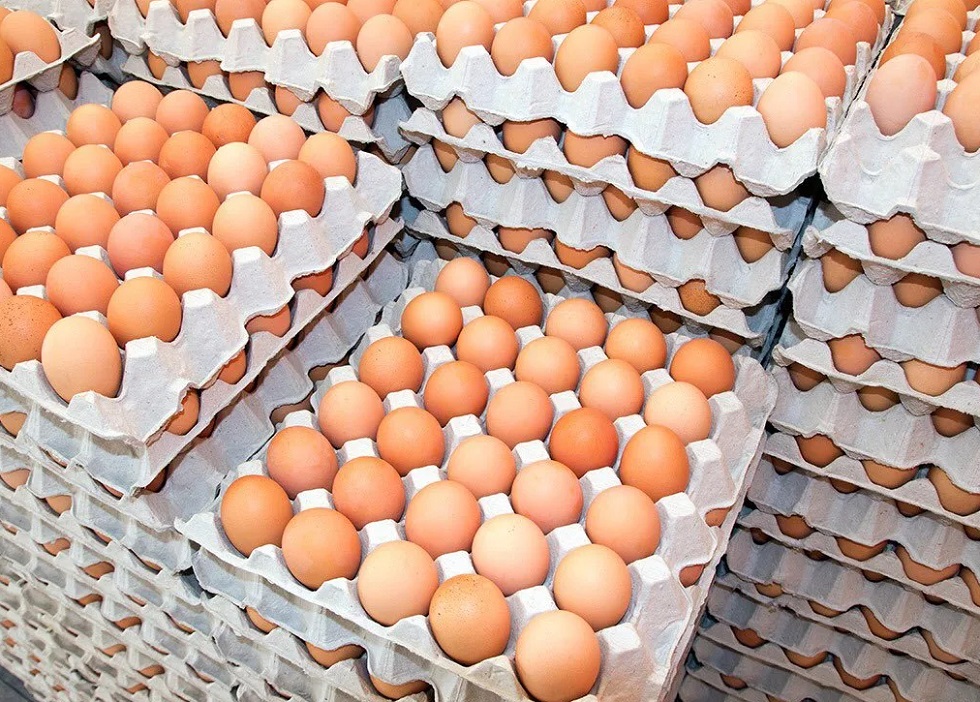 Эхо птичьего гриппа: в Костанае подорожали куриные яйца