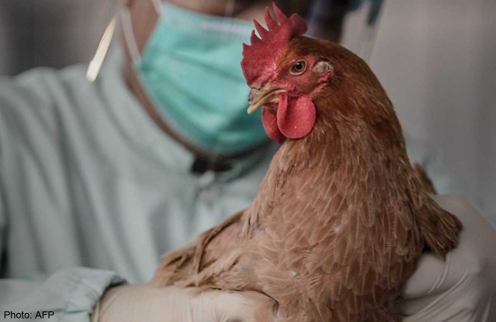 Птичий грипп выявили в ВКО