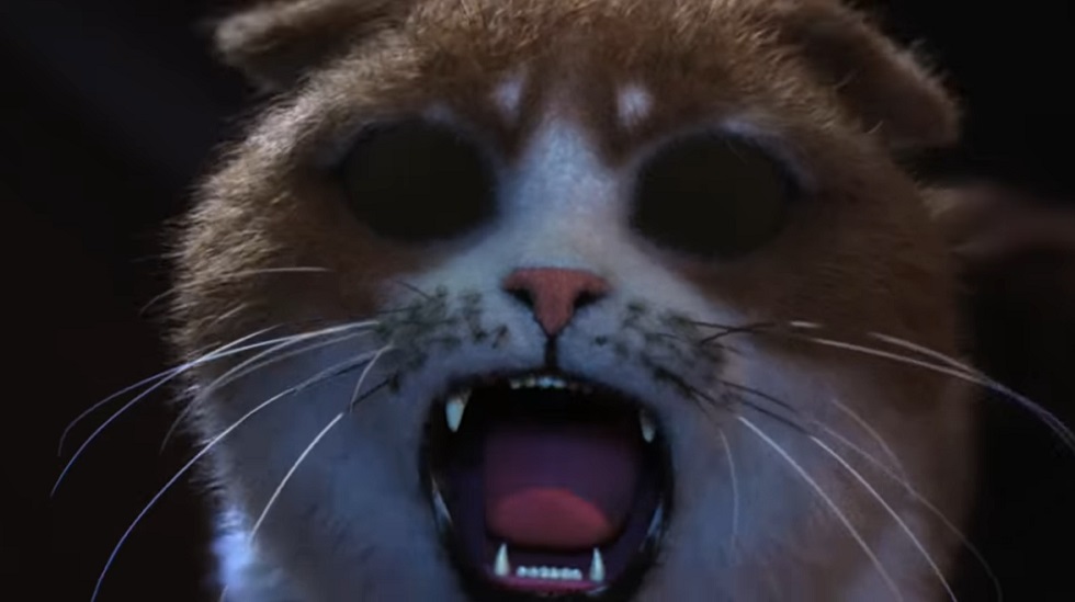 Фильм ужасов для кошек: в Сети состоялась необычная премьера
