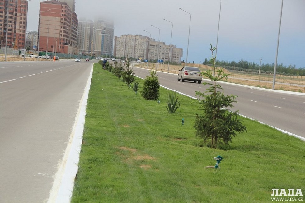 В Актау перестали высаживать деревья: нет денег