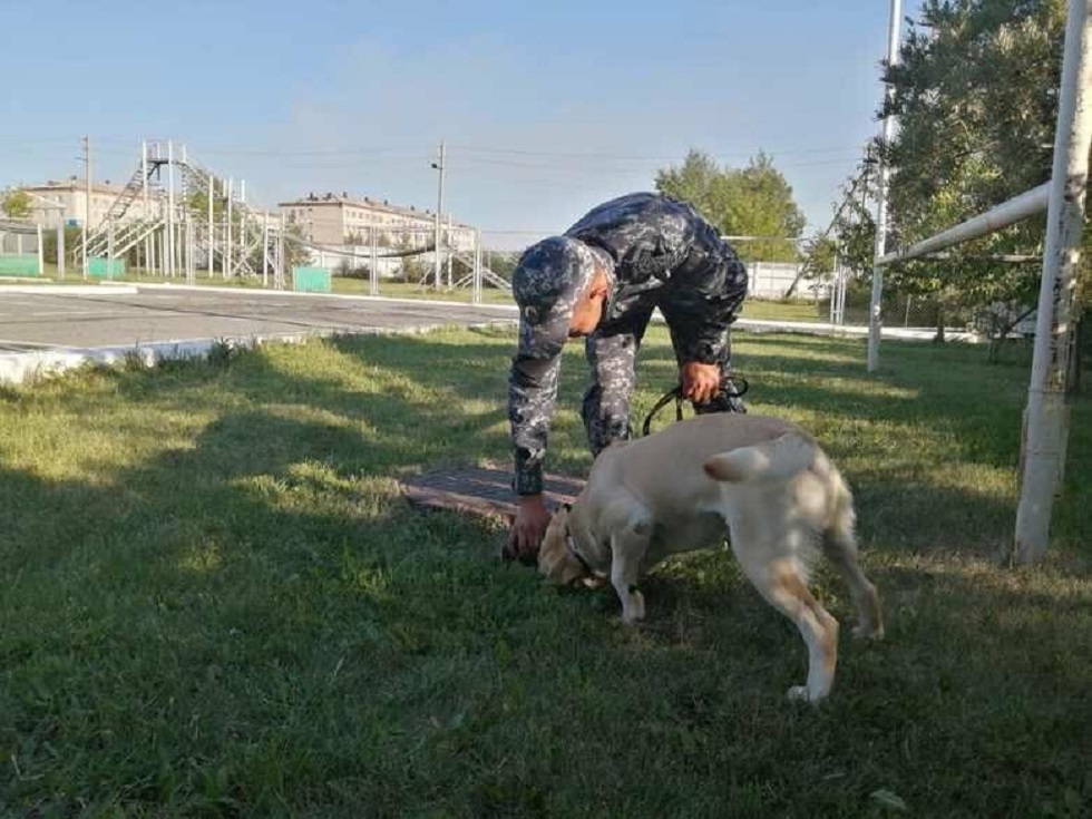 Алматы полициясы одорологияның көмегімен 14 қылмыс ашқан