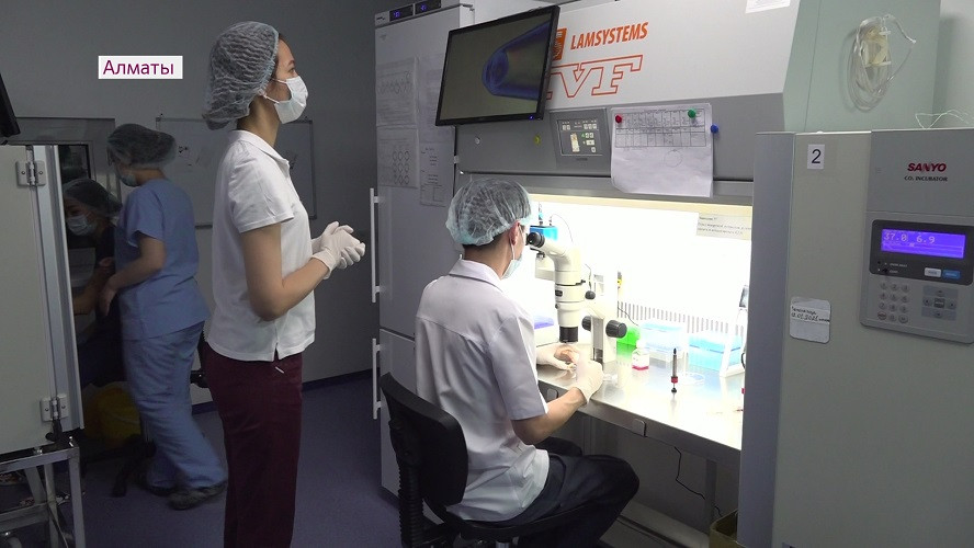 Инновационную технологию по выращиванию человеческих эмбрионов применяют в Алматы 