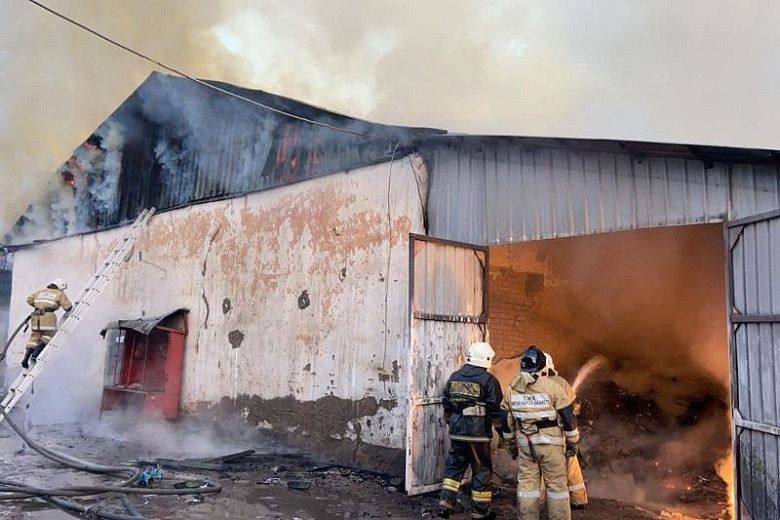 Пожар на складе, где хранилась древесина, удалось потушить за полчаса