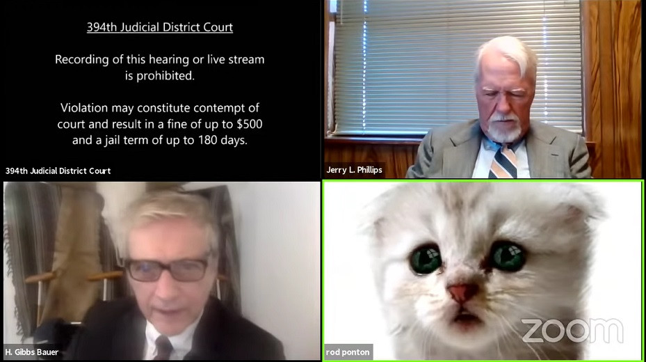 Я не кот: адвокат не смог отключить маску котенка на онлайн-суде