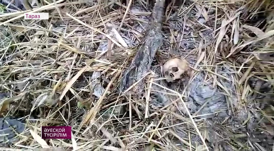 Останки человека, завернутые в мешок, нашли в реке Тараза