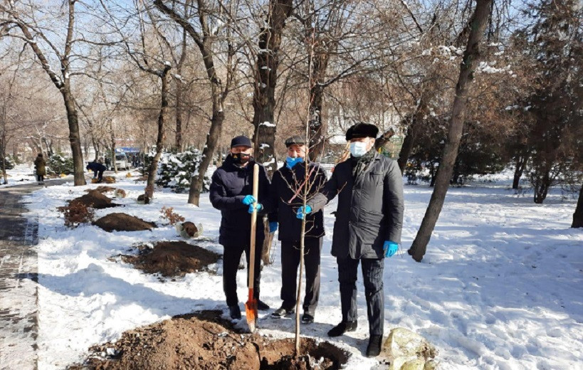 В Алматы ко Дню благодарности руководители этнокультурных объединений провели посадку Аллеи АНК