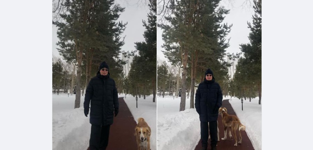 Стали известны новые подробности о собаках Касым-Жомарта Токаева 