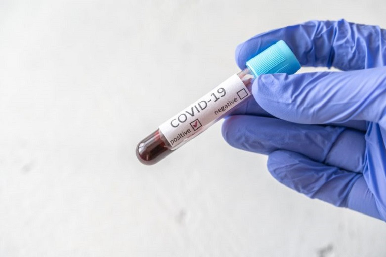 Двойная мутация: новый штамм коронавируса обнаружен в Индии