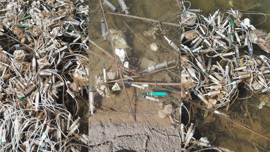 Шок по-капшагайски: на берегу водохранилища обнаружили тысячи использованных шприцев и систем