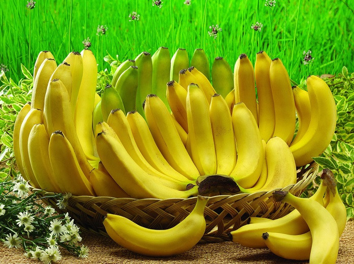 Под угрозой исчезновения: жители Земли могут остаться без бананов