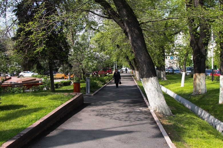 Тест: "Сможете ли вы по фото определить названия деревьев, растущих в Алматы"