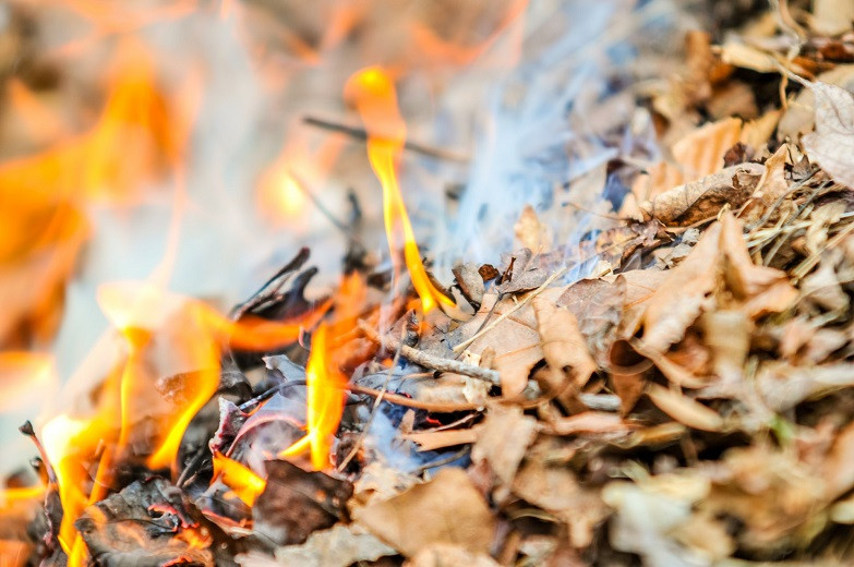 Перестарался: житель Акмолинской области случайно поджег дачи соседей, избавляясь от листьев