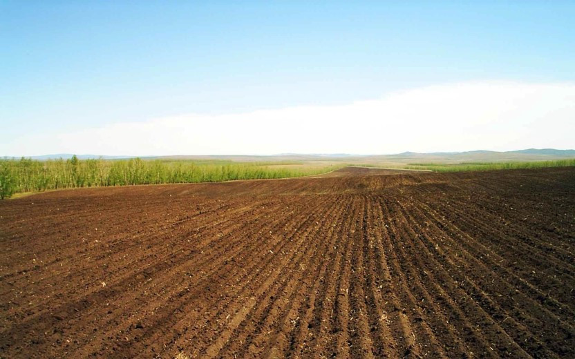 Предоставление сельхозземель в частную собственность: эксперты поддержали продление моратория