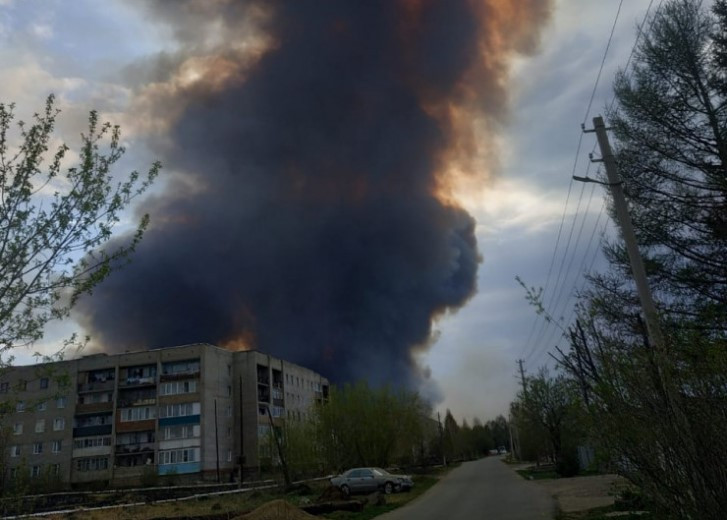 Лес загорелся в Восточном Казахстане