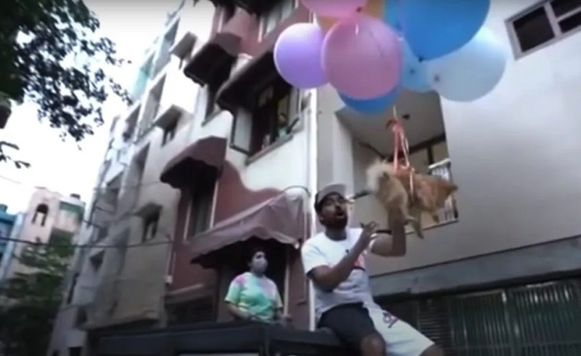 Индийский блогер на связке шаров, наполненных гелием, отправил собаку в полет