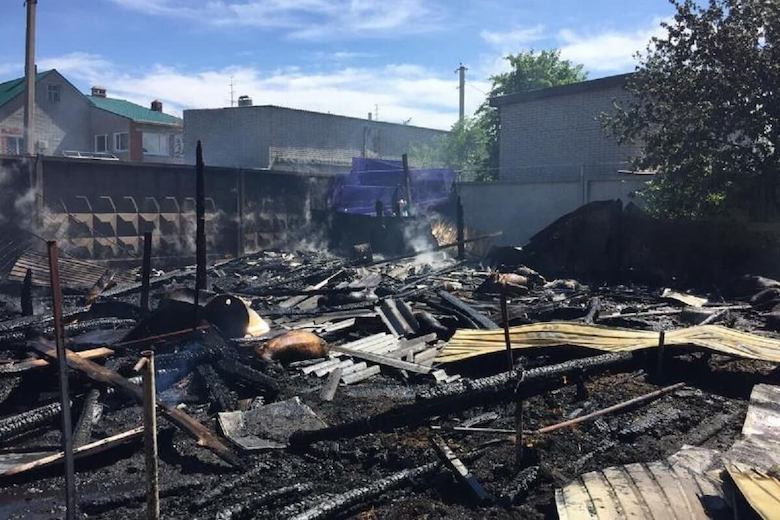 Домашние животные заживо сгорели при пожаре в Костанае