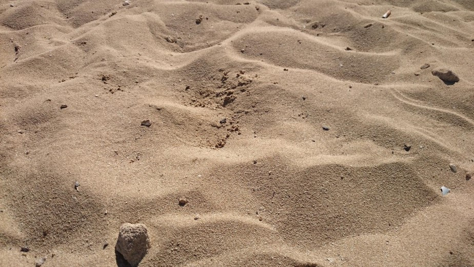 Голова в крови: житель Усть-Каменогорска неудачно спрятал жену в песок