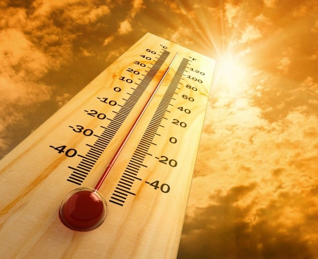 В Казахстане ожидается 42-градусная жара 