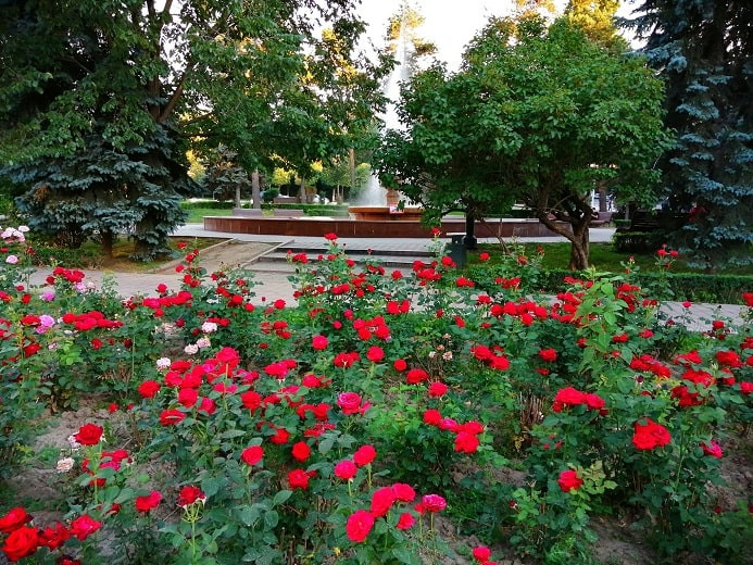 Алматы қаласының 28 маусым мен 4 шілде аралығына арналған ауа райы болжамы