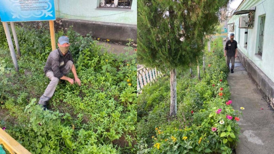 Заключенный, осужденный за убийство, вырастил цветочный сад в колонии Шымкента