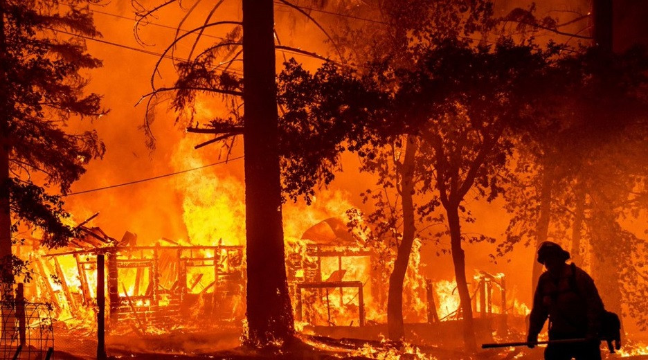 Лесные пожары в Турции: задержан подозреваемый в поджоге
