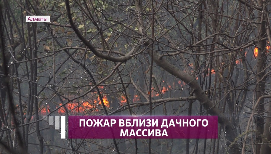 Крупный пожар потушили в горах Алматы