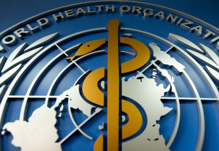 Будущие пандемии: в ВОЗ отметили важное значение ближайших трех месяцев
