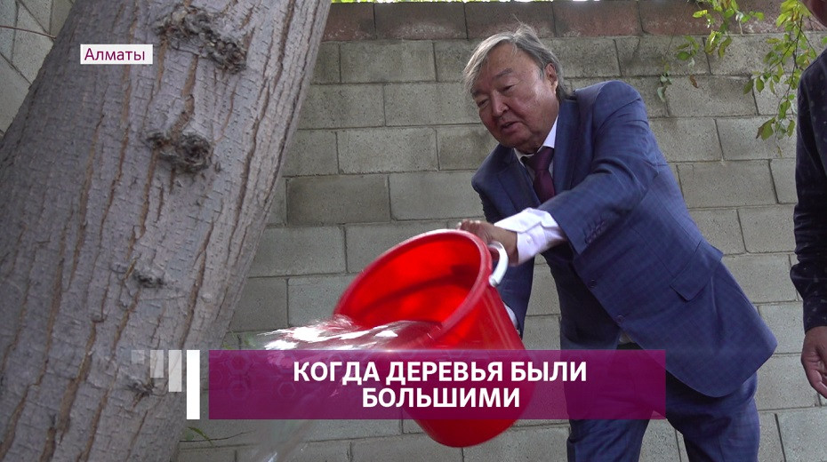 Олжас Сулейменов поддержал акцию по поливу деревьев в Алматы 