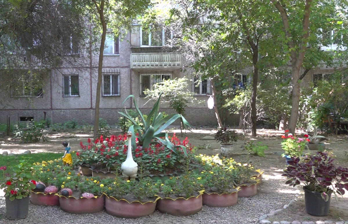 Алматинские сады Семирамиды: куда направят деньги жители самого зеленого двора 