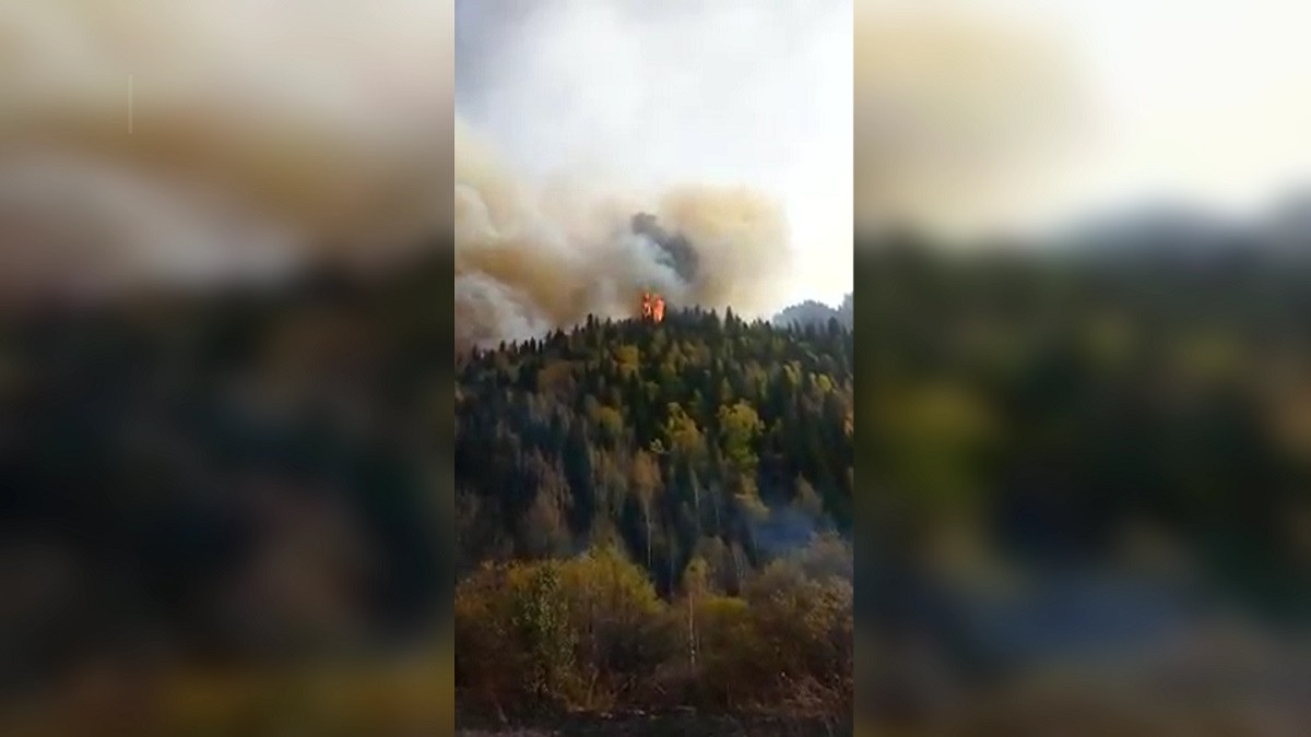 Крупный пожар произошел в Коринском ущелье в Алматинской области